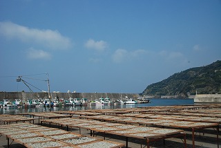 しらす干し　快晴です