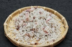 イカ入りしらすザル入り