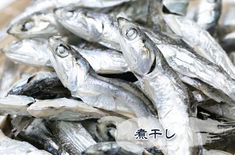煮干し